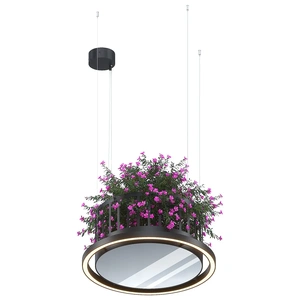 Изображение ПЛАНТ №2