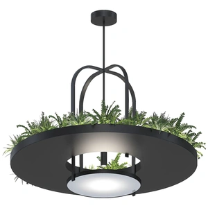 Изображение ПЛАНТ №3