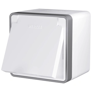 Изображение Розетка влагозащ. с зазем. с защит. крышкой и шторками Gallant (белая) W5071201