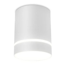 Изображение Накладной светодиодный точечный светильник TN280 SWH белый песок LED 4200K 9W D80*100