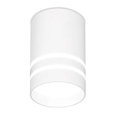 Изображение Накладной светодиодный точечный светильник TN235 WH/S белый/песок LED 4200K 5W D60*100