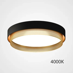 Изображение Потолочный Светильник Malia D45 Black Brass 4000К By Imperiumloft