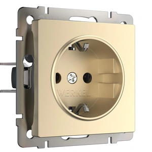 Изображение Розетка с заземлением (шампань) W1171011