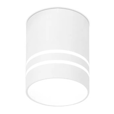 Изображение Накладной светодиодный точечный светильник TN240 WH/S белый/песок LED 4200K 12W D80*100