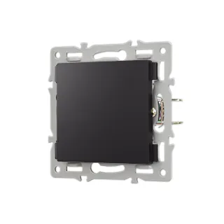 Заглушка для розетки SCT-MGG-PL-BK (Arlight, -) - Изображение